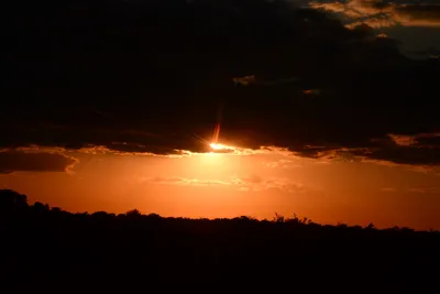 DSC_9730 (Large).JPG